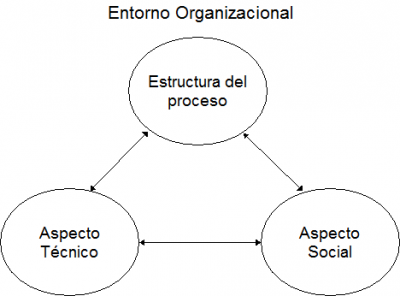 Base organizacional: estructura del proceso, aspecto social y técnico.